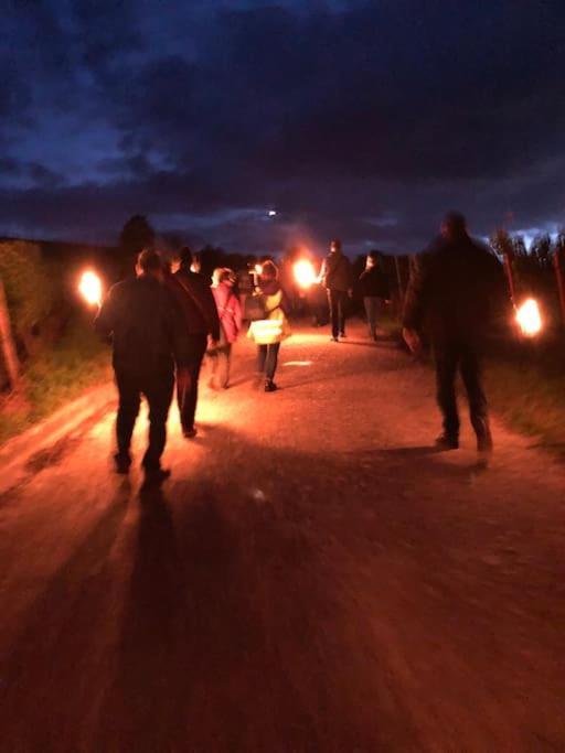 Wohnen Direkt Am Moselstrand Lejlighed Bernkastel-Kues Eksteriør billede