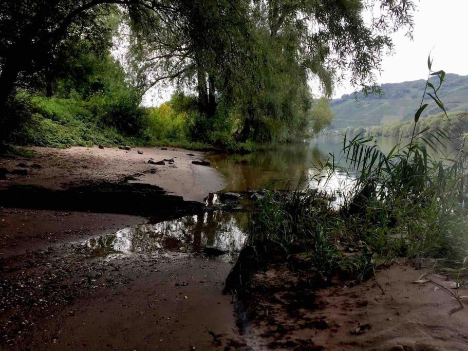 Wohnen Direkt Am Moselstrand Lejlighed Bernkastel-Kues Eksteriør billede